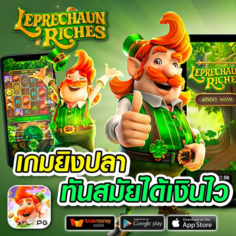 tiger711 ทางเข้า